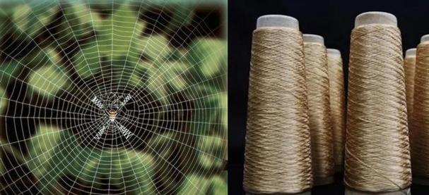 纺织实验室量产蜘蛛丝纤维样品