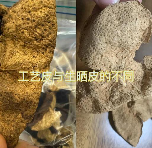 西关晾衣绳上的校服与陈皮