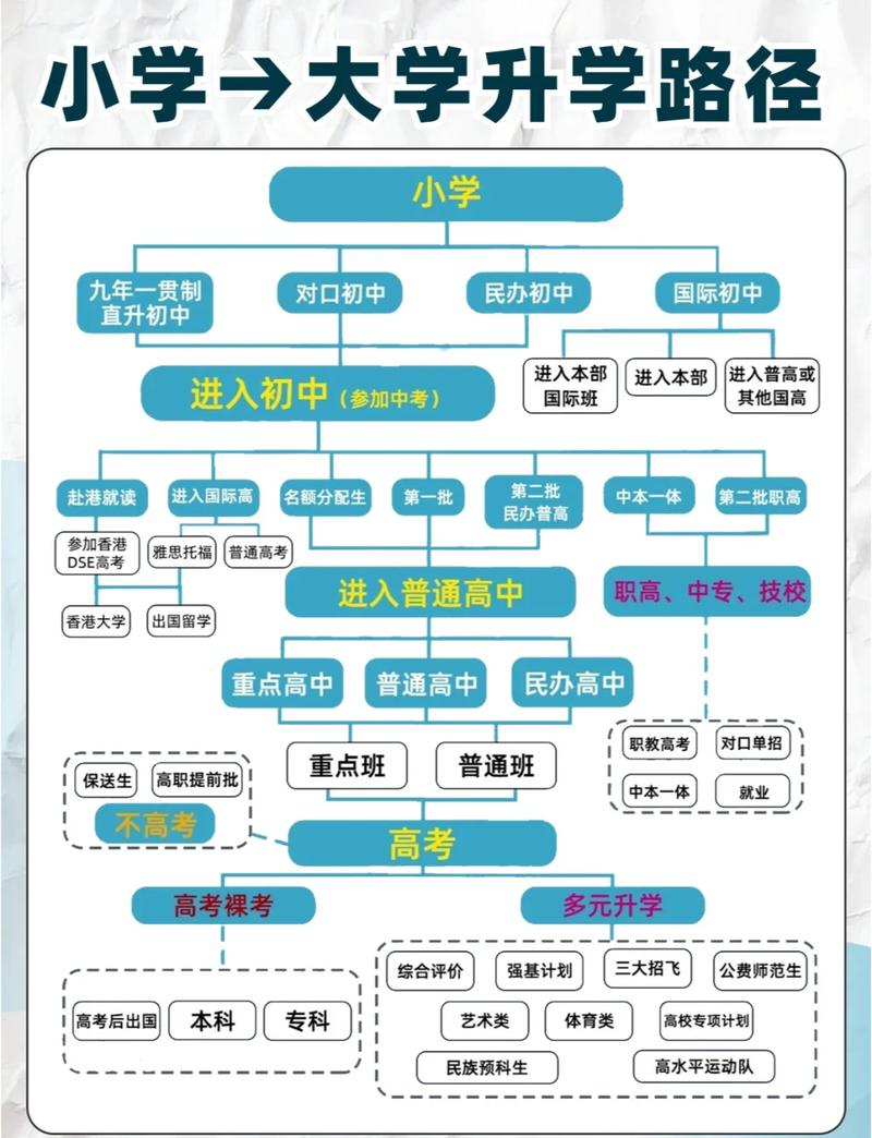 2024中国多元升学路径报考时间线图
