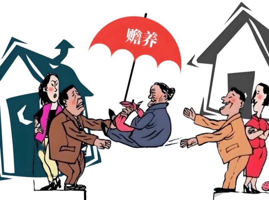 赡养费纠纷常见类型适配参考