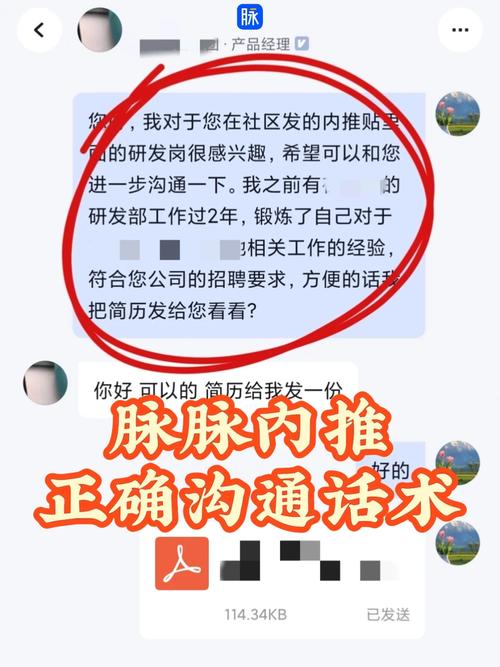 脉脉内推成功对话截图示例