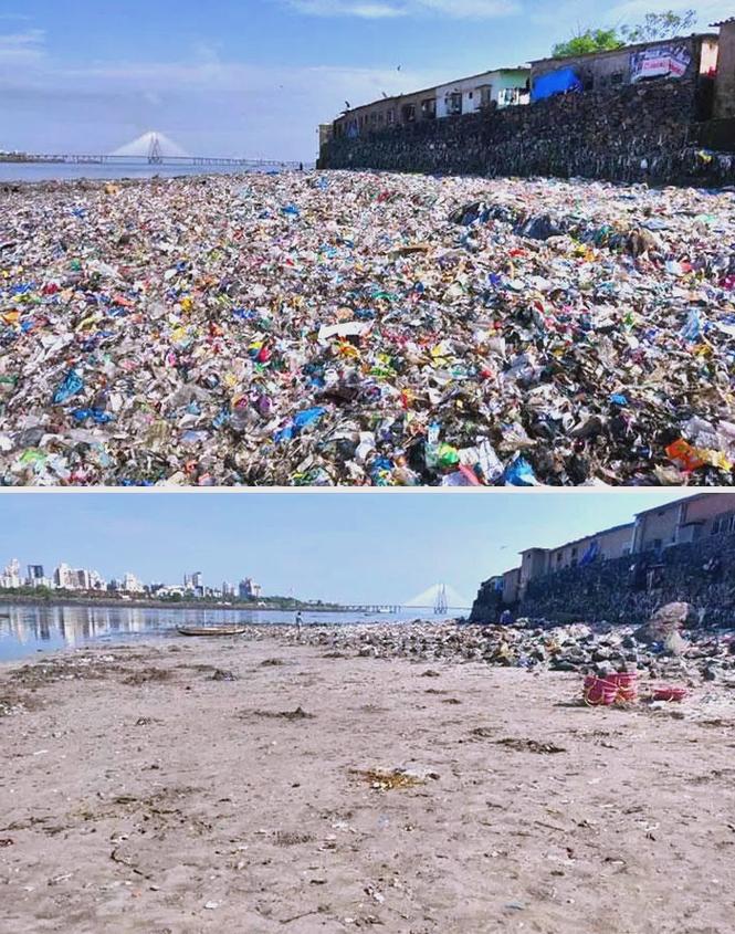 海岸线:一条永远画不直的地球疤痕-因为所以