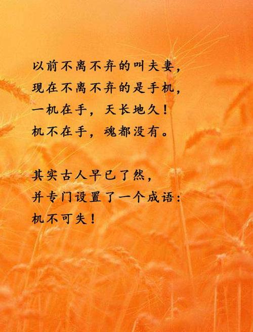 四、给新品牌的几句大实话