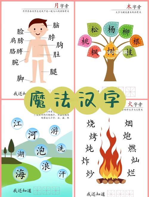 家庭亲子偏旁部首归类抽卡游戏场景
