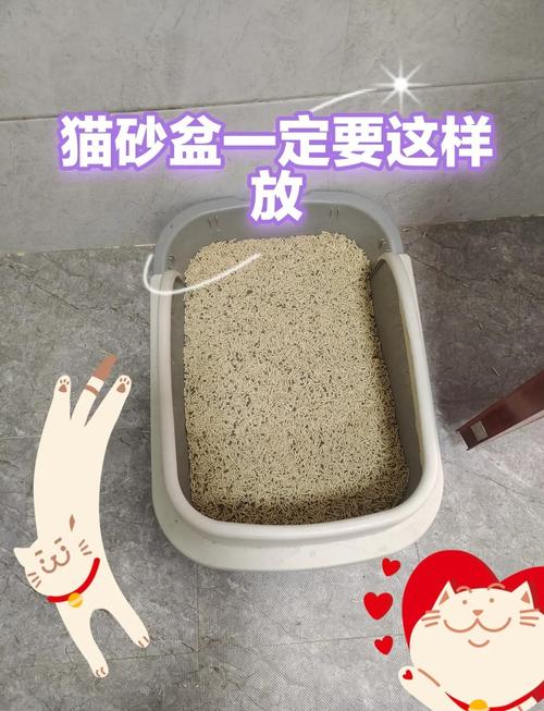 多猫家庭的隐藏坑：别把所有猫砂盆堆一块
