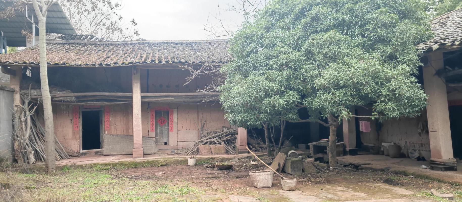 继承时效解惑：别让亲戚拿“过期”坑了你的房子-广州离婚律师