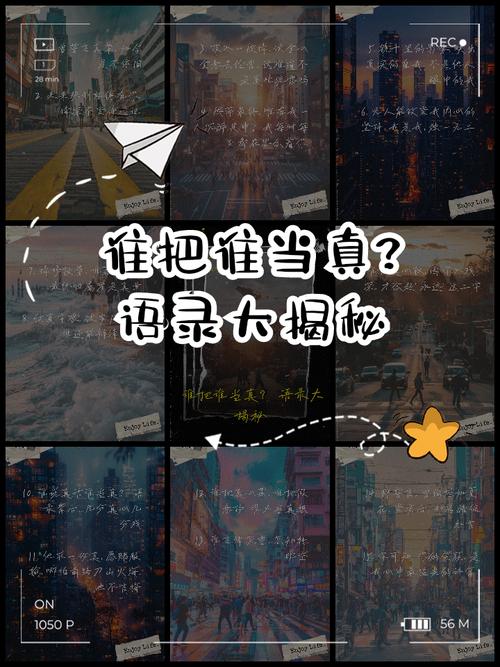 市面主流品类横评：谁是真有用，谁是唬人
