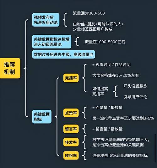 视频号企业账号流量分发路径图
