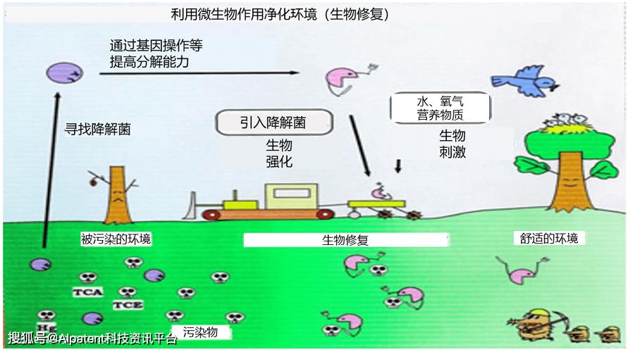环境修复的生物技术应用，闷声解决了全人类的大难题