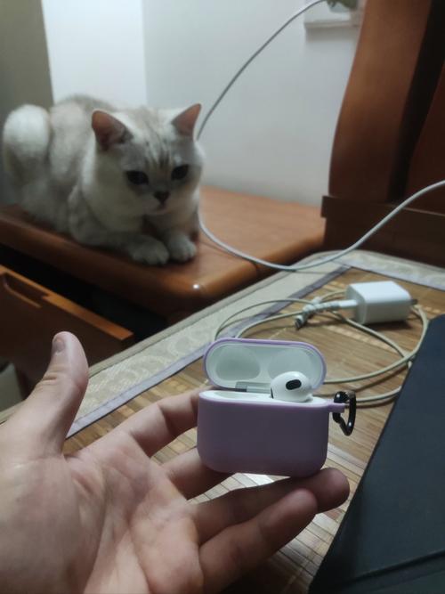 玄关地垫上压着沾猫毛的AirPods充电盒实拍