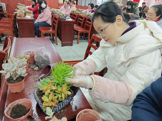 校园走廊里学生合作种植多肉植物