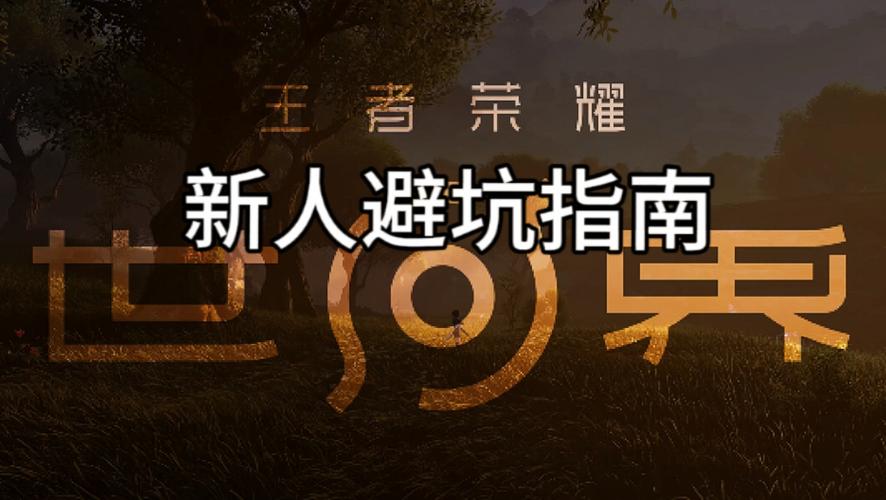 新手别踩这些坑——我血泪教训