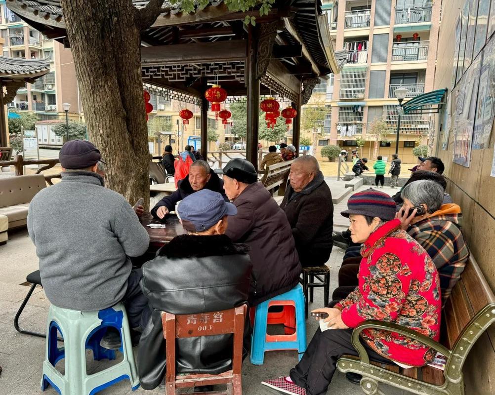 小区凉亭孩子陪独居老人看老照片场景