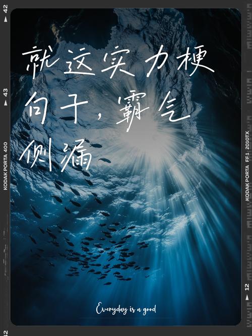 实力之外,还有个词叫“适合”