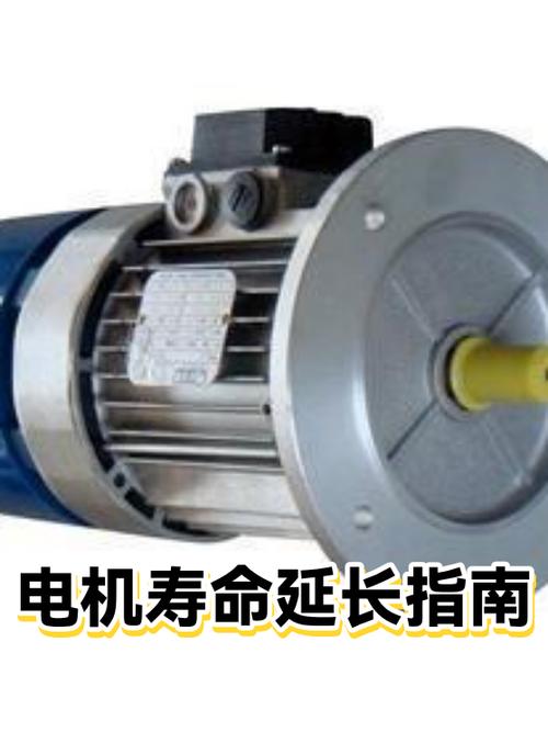 实际使用怎么延长电机寿命