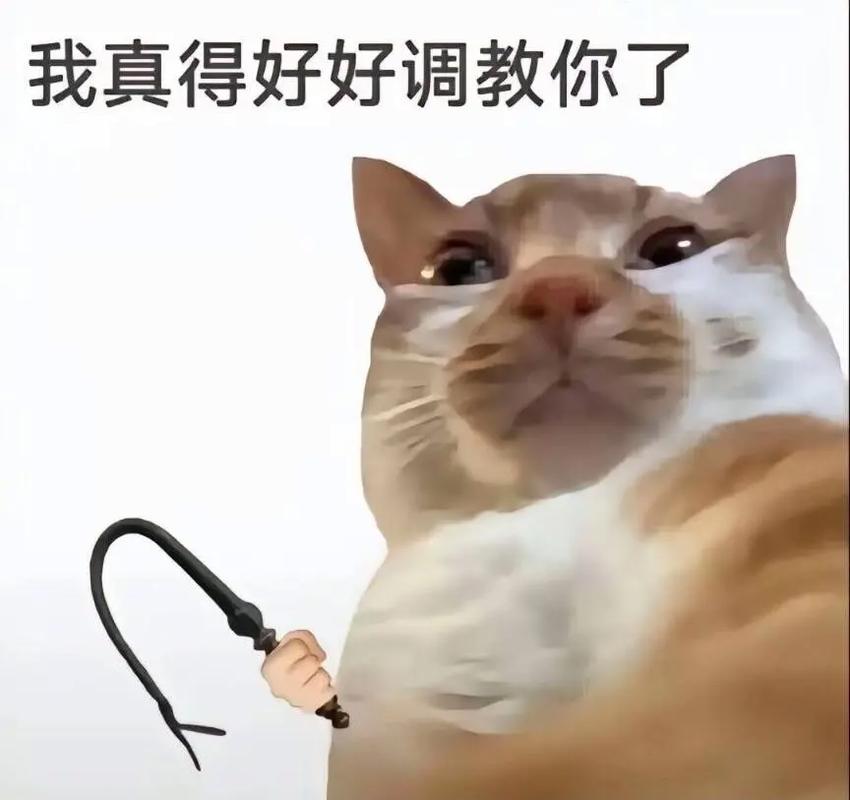 好好用它,别被它用了