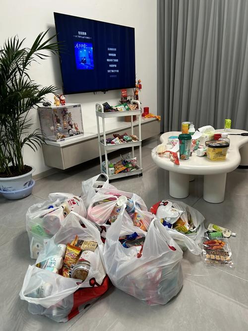 堆满零食和玩偶的出租屋日常客厅