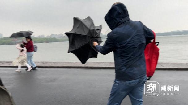 撑了这么多年的雨伞,你可能从没买到过真正好用的那一把-因为所以