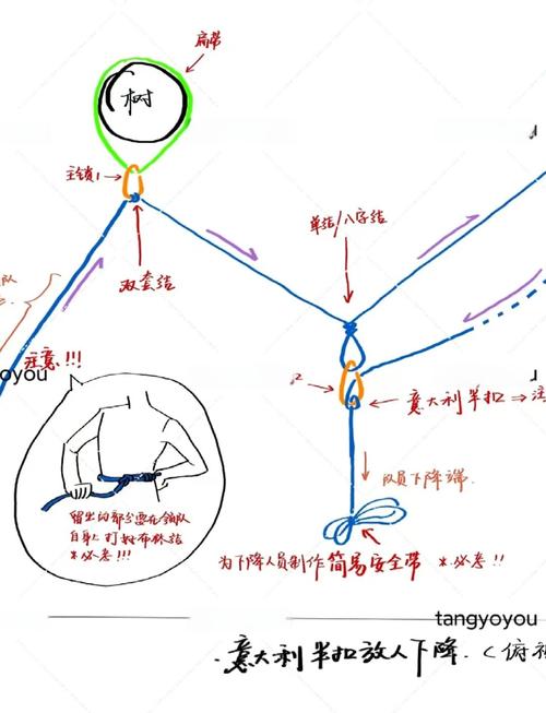 柔性长物体绳结形成概率物理实验示意图