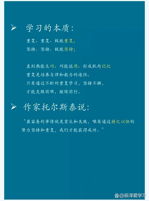 接受不完美，才是学业调整的本质