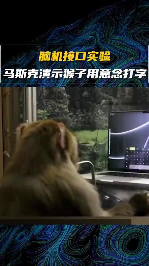 脑机接口：猴子打游戏，我打猴子？