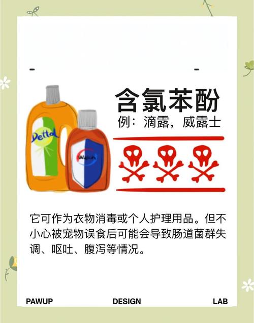 家庭环境容易被宠物误食的有毒物品实拍图