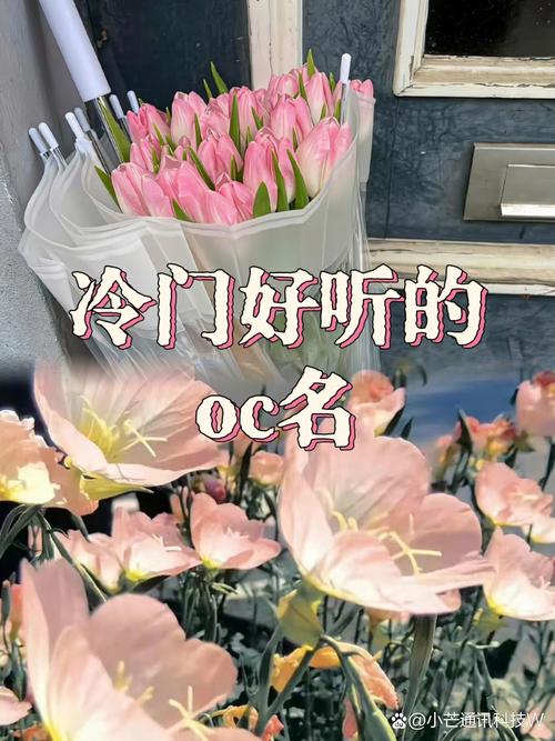 冷门但好嗑的小众独占,别挖漏了