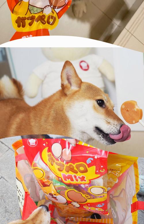 训犬师用零食奖励狗狗