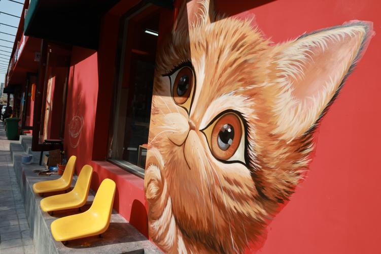 沈阳铁西区红砖墙涂鸦橘猫图案