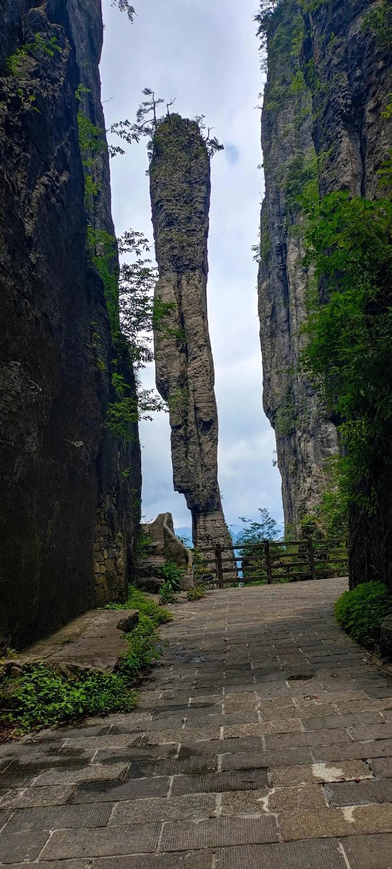 恩施大峡谷一炷香逆光剪影
