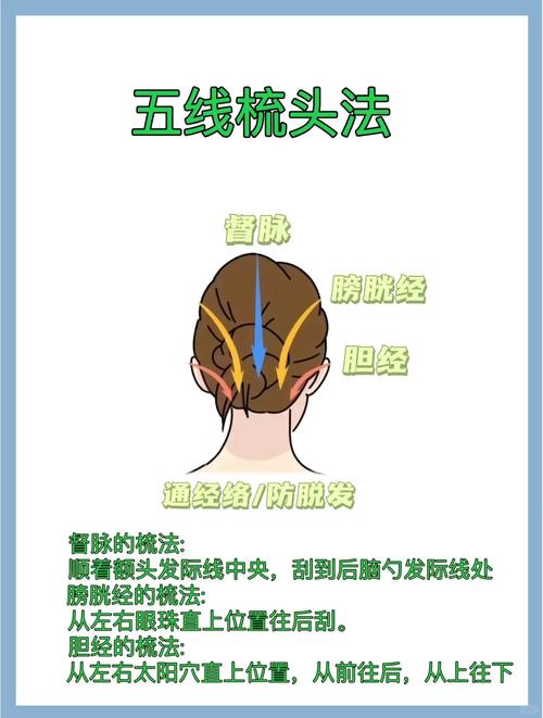 正确梳头从发尾到发根手法示意图