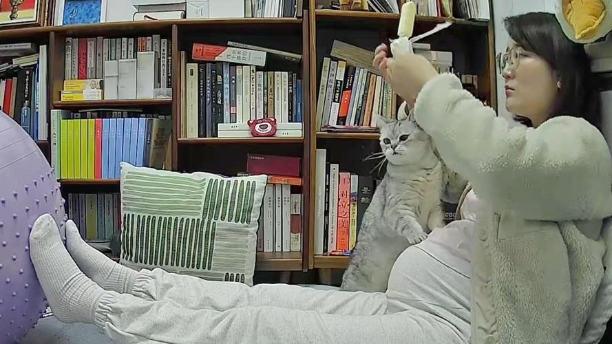 孕妇居家撸猫休闲实拍