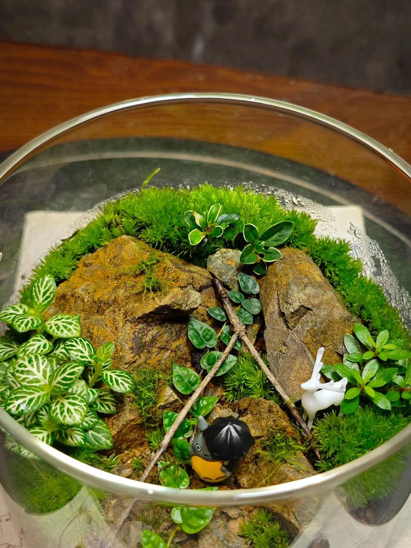 精神花园:那个你很久没打理的地方,该除草了-大讲堂