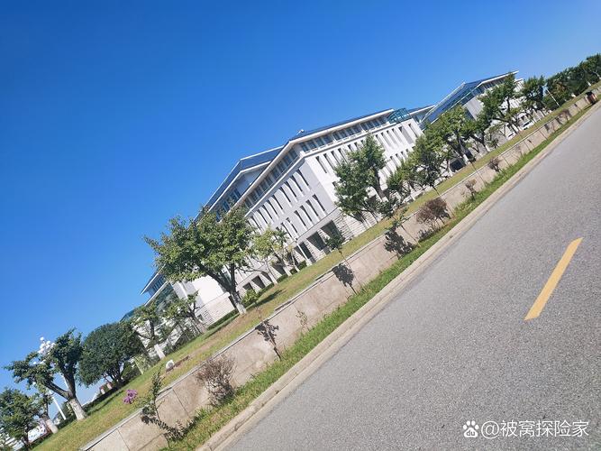 家长咨询中考志愿填报线下场景