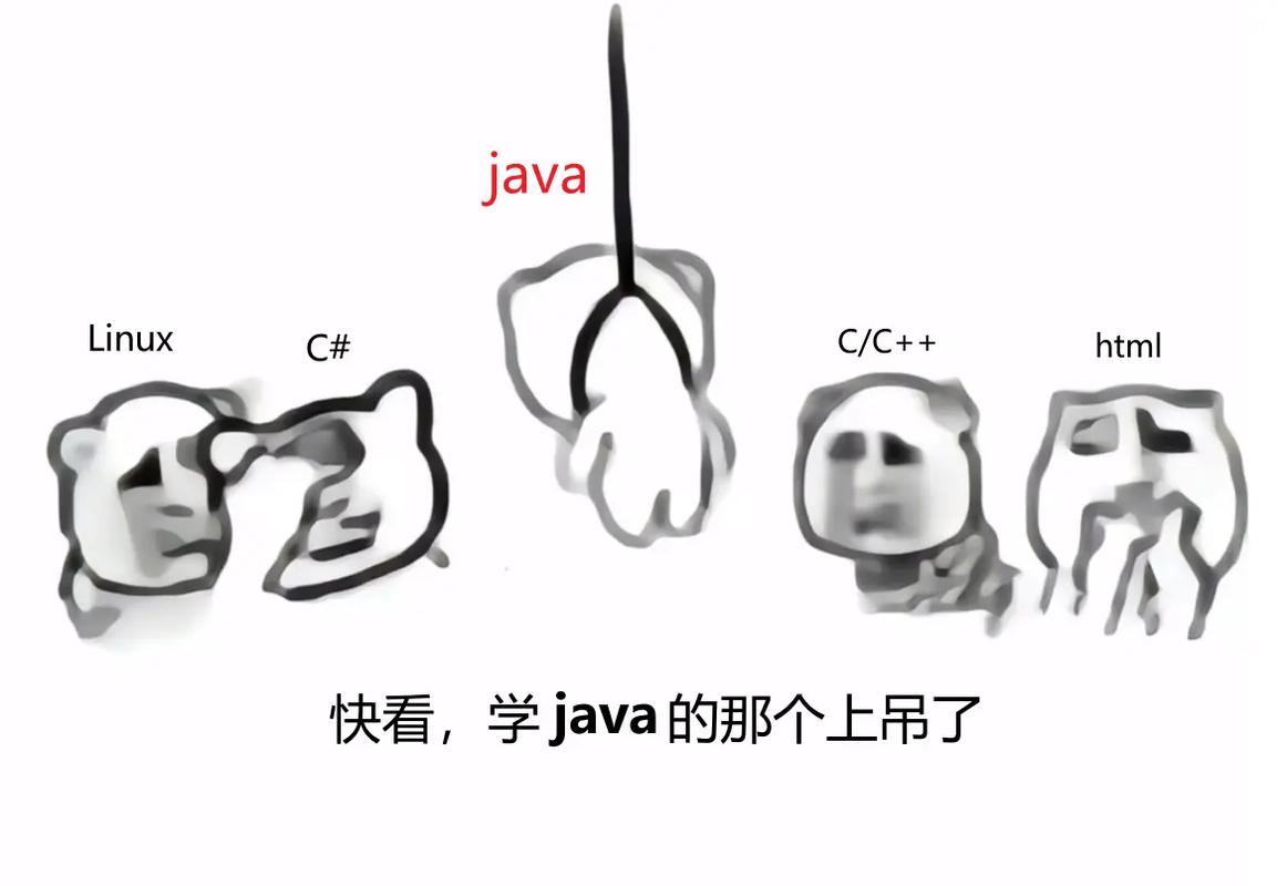 编程入门语言选择困惑表情包