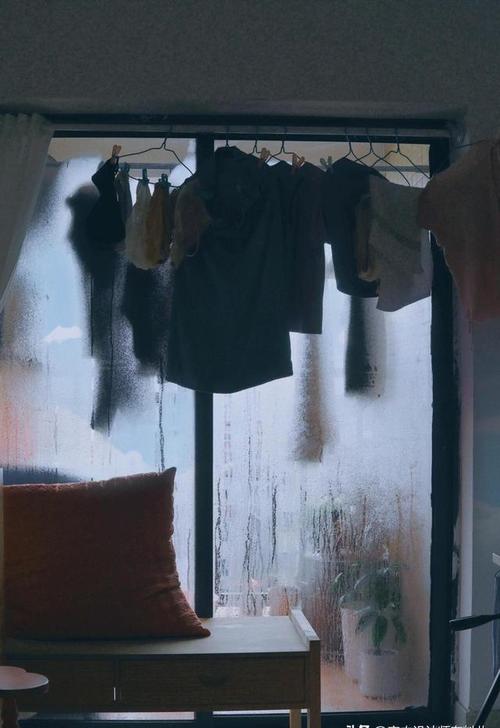 适合慢养的雨天居家活动,换个节奏喘口气-仁者医