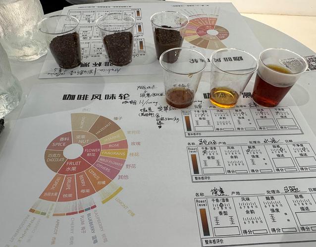 专业咖啡品鉴杯测风味轮实拍