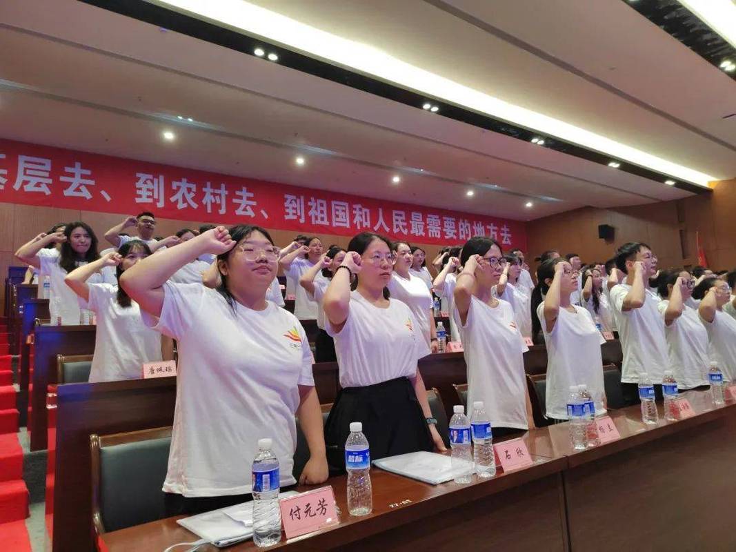 大学生基层就业三支一扶服务场景