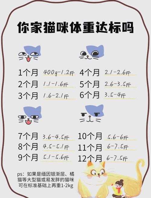 家用体重秤称量宠物体重示意图