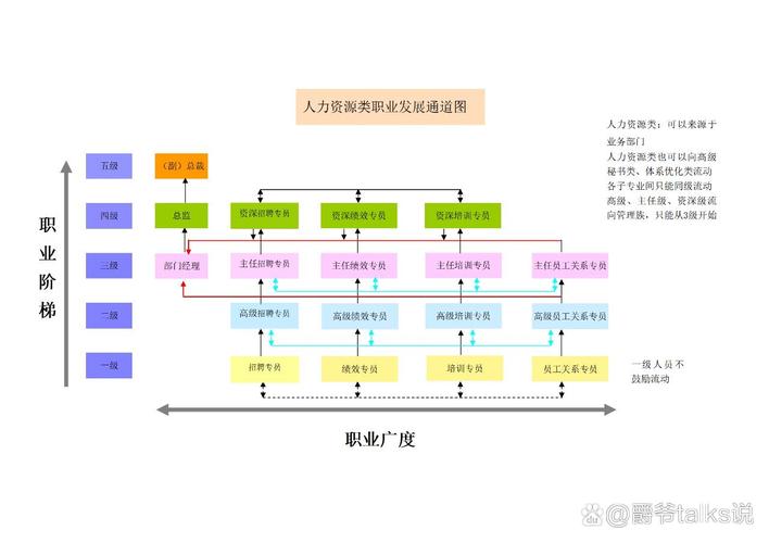 人力资源岗位技能树与职业发展路径图