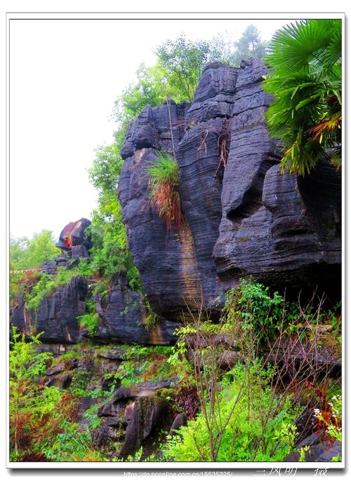 湖北南漳观音岩石林林间怪石群全景
