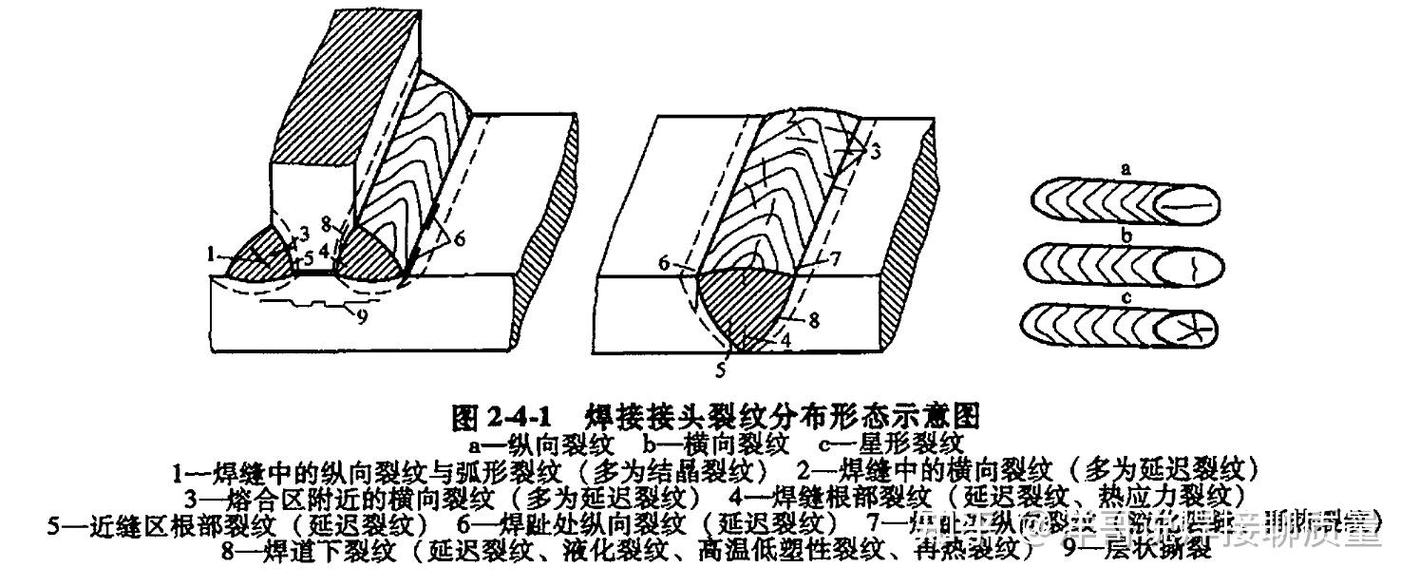 高强船板对接焊缝横截面热裂纹形貌图