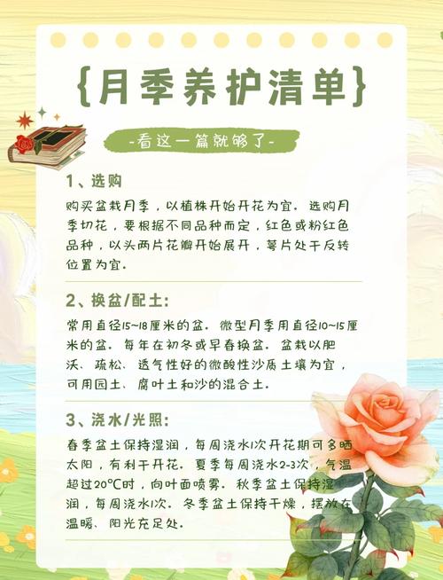 亲测三个月稳得住：日常养护就做这几件事