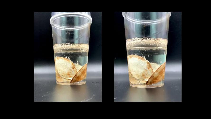 小学科学课上孩子观察白醋泡贝壳冒泡实验
