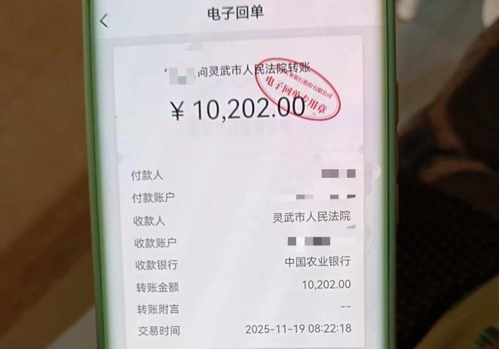 法院债务强制执行回款到账凭证