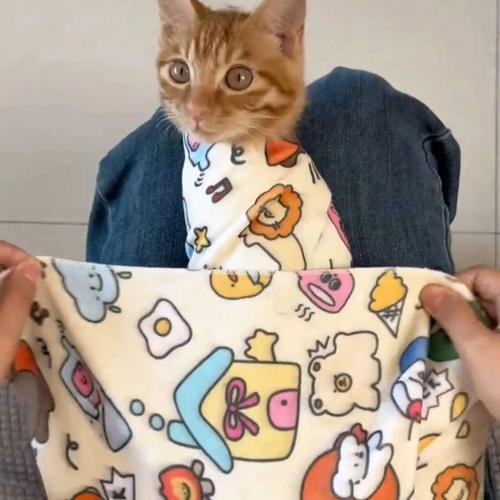 毛巾包裹法剪猫咪指甲实拍图