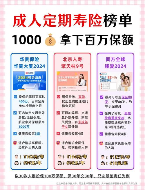 家庭经济支柱寿险保额计算表