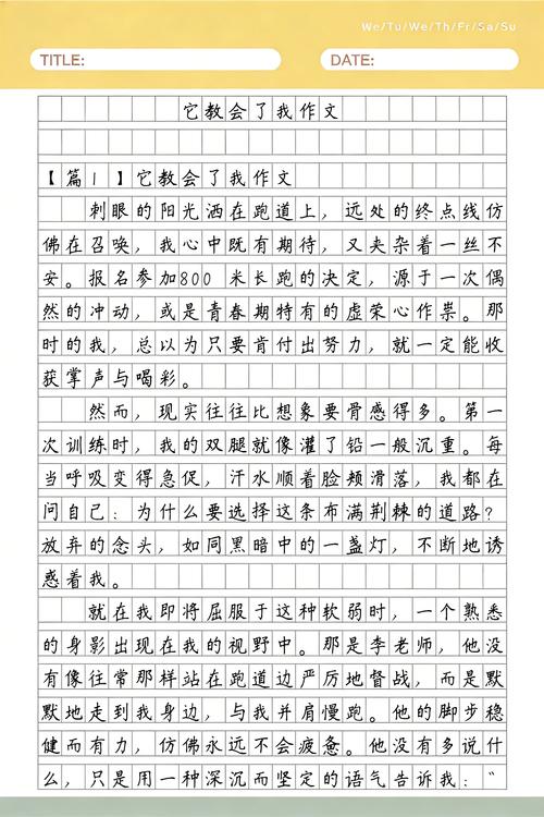 最后,它教会我的事