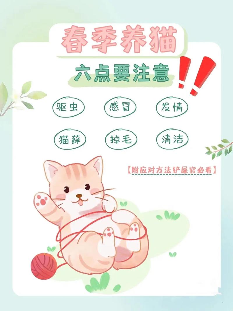 日常养着，要记住这几件事