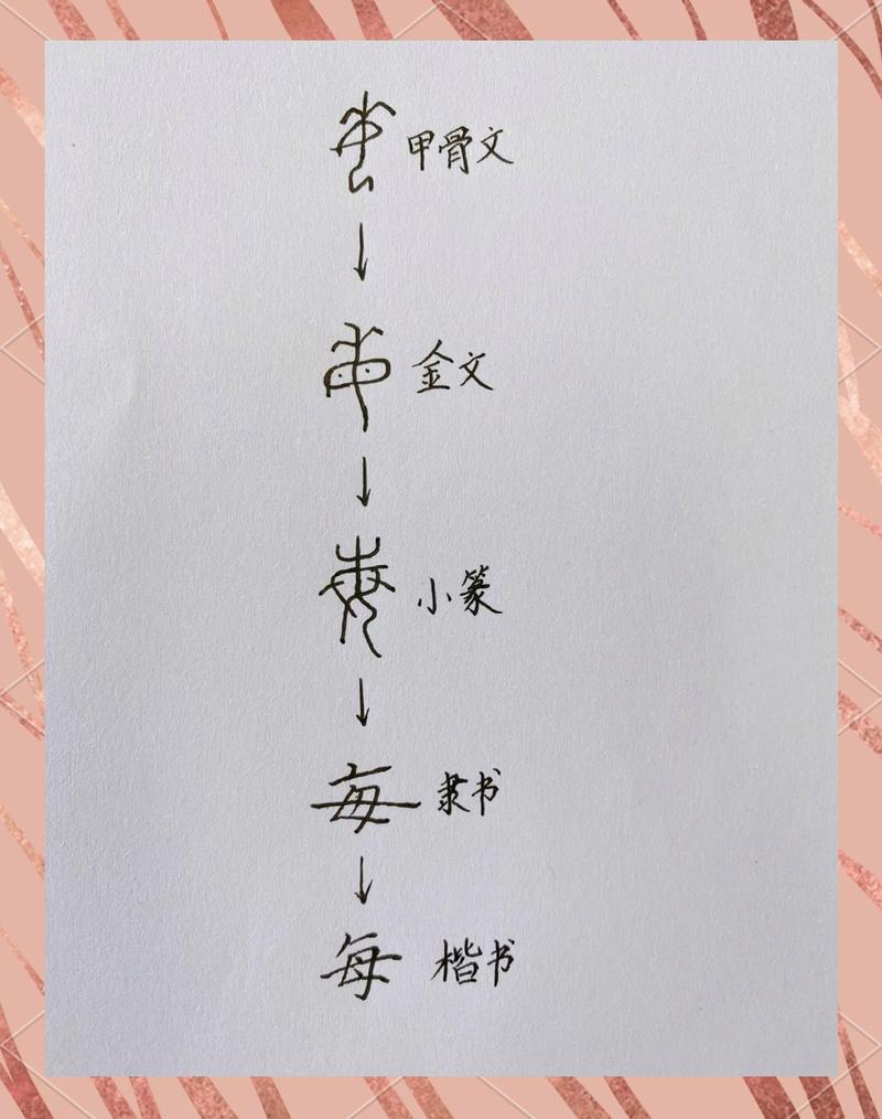 甲骨文到楷书字体演变对比实拍图
